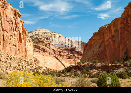 Capitol Gorge, Capitol Reef NP, Utah, USA Stock Photo