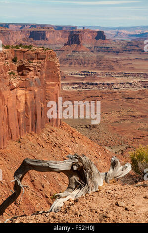 Orange Cliffs Overlook, Canyonlands NP, Utah, USA Stock Photo