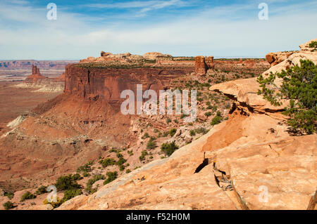 Candlestick Tower Overlook, Canyonlands National Park, Utah Stock Photo ...