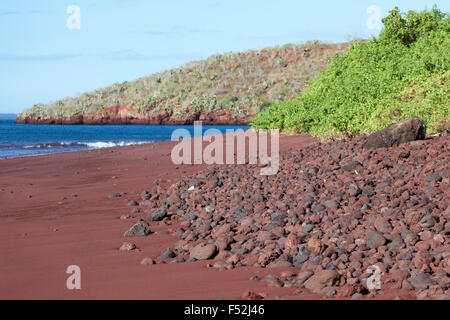 Galapagos red sand beach on Rabida Island. The red color is from oxidation of iron-rich volcanic lava Stock Photo