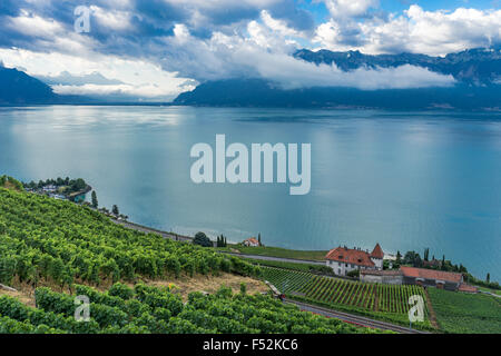 Looking over the vineyards at Lavaux, a UNESCO World Heritage Site. Lake Geneva, Switzerland. Stock Photo