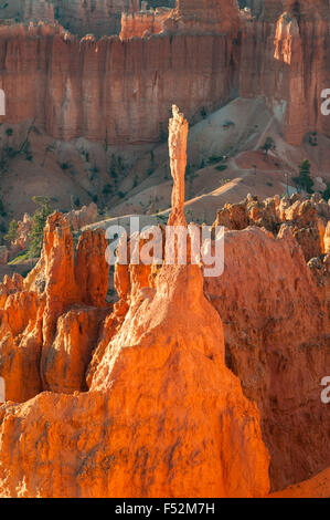 Hoodoo at Sunset Point, Bryce Canyon, Utah, USA Stock Photo