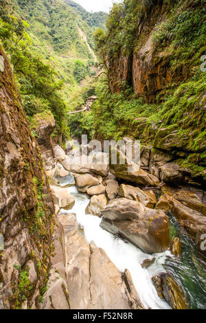 A fast-flowing river cascades through a narrow, rocky canyon flanked by steep, moss-covered cliffs. The water rushes over large boulders, creating white rapids and turbulent currents. Dense green Stock Photo