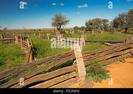 Stock yards made from cypress pine in Australian outback landscape of emerald grass after rain at old Zanci station in Mungo National Park Stock Photo