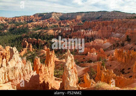 View from near Sunrise Point, Bryce Canyon, Utah, USA Stock Photo