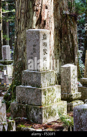 Koyasan, Japan, Okunoin cemetery. Large stone memorial tombstone with kanji inscription, other stones and cedar trees trunks behind. Stock Photo