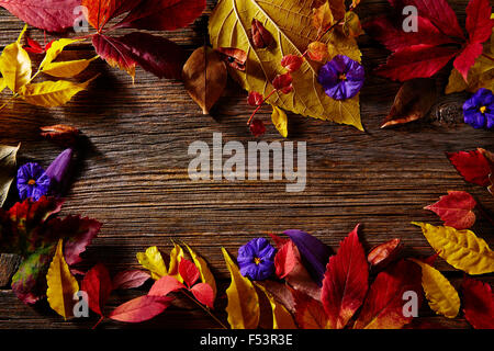 Halloween copy space background on wooden backdrop Stock Photo