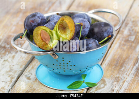 Fresh plums in blue colander on rustic wooden surface Stock Photo