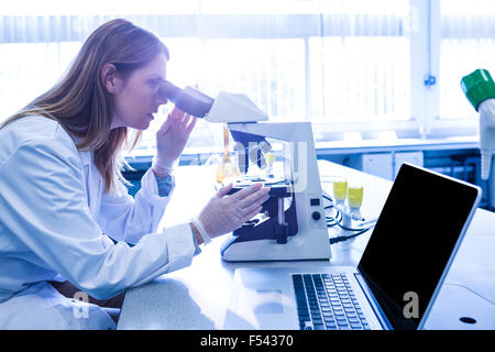 Scientist working with a microscope in laboratory Stock Photo