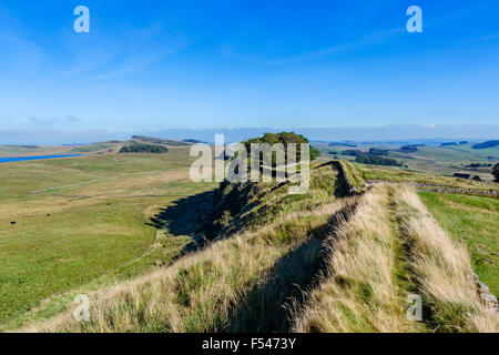 Hadrian's Wall near Housesteads Roman Fort, Northumberland, England, UK Stock Photo