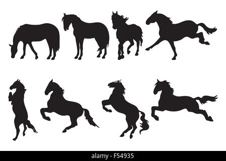 Collection of different silhouettes of horses - vector illustration isolated on white background Stock Vector
