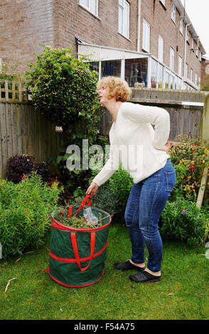 Mature woman gardening lifting heavy bag of garden waste in pain with a bad back ache Stock Photo