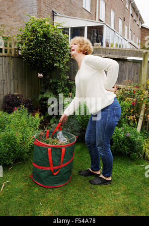 Mature woman gardening lifting heavy bag of garden waste in pain with a bad back ache Stock Photo