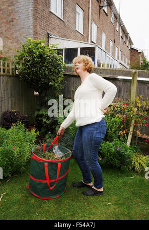 Mature woman gardening lifting heavy bag of garden waste in pain with a bad back ache Stock Photo