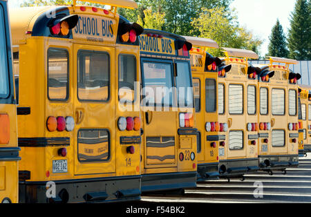 A row of US american yellow school buses seen from the back, Maine USA Stock Photo