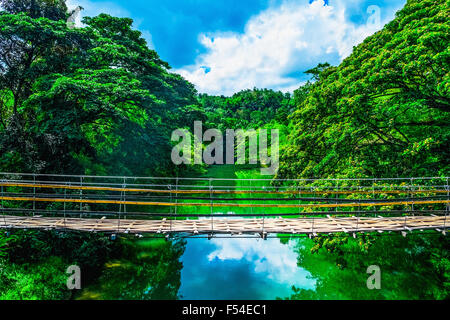 Bamboo pedestrian suspension bridge over river in jungle, Bohol, Philippines