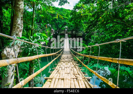 Bamboo pedestrian suspension bridge over river in tropical forest, Bohol, Philippines Stock Photo