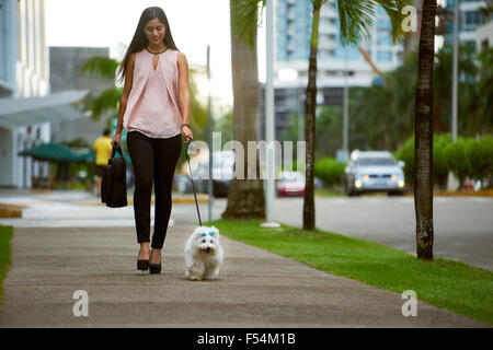 Young business woman with suitcase walking to office with her little dog early morning. The pet is a puppy maltes mixed with fre Stock Photo