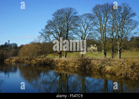 Chesters, small farm country house estate near Hawick, on the River Teviot, Scottish Borders Stock Photo