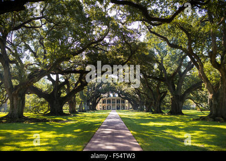 Oak Alley plantation antebellum mansion house and canopy of live oak trees in Mississippi Delta at Vacherie, Louisiana, USA Stock Photo