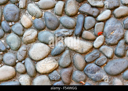 Cobblestone walkway at Nitobe Memorial Garden, traditional Japanese garden, University of British Columbia, Vancouver, Canada Stock Photo