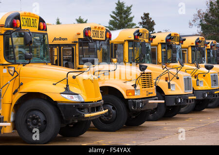 Traditional bright yellow school buses parked in a row, USA Stock Photo