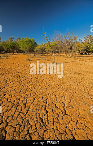 Landscape with deeply cracked red soil & trees on horizon under blue sky in outback Australia during devastating drought Stock Photo