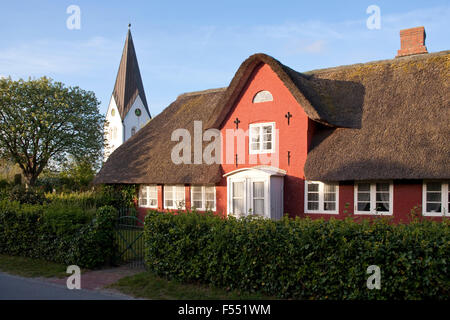 DEU, Germany, Schleswig-Holstein, North Sea,  Amrum island, Frisian house and St. Clemens church in Nebel.  DEU, Deutschland, Sc Stock Photo
