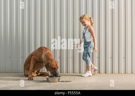 Happy girl looking at dog feeding in container against corrugated wall Stock Photo