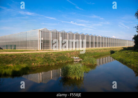 greenhouse park at the lignite-fired power plant Neurath in Grevenbroich, Germany Stock Photo