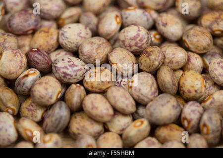A macro shot of a some dried borlotti beans. Stock Photo