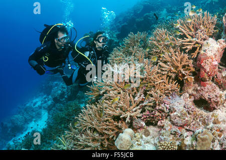 Young couple  divers looking at the corals, Indian Ocean, Maldives Stock Photo