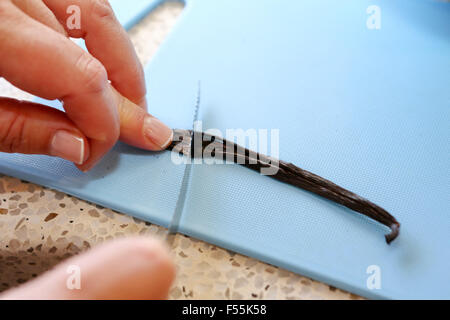 Scraping seeds out of vanilla pod using a knife, close-up, This image has a restriction for licensing in Israel Stock Photo