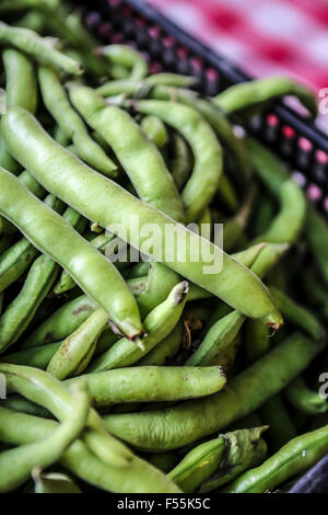 Raw Green beans in pod Stock Photo