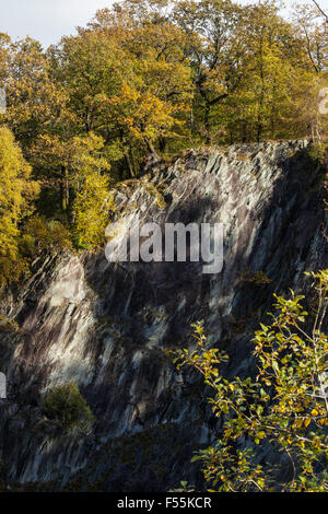 Abandoned Slate Quarry Taken Over by Vegetation and Trees Stock Photo