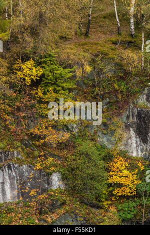 Abandoned Slate Quarry Taken Over by Vegetation and Trees Stock Photo