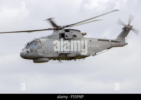 UK Royal Navy Merlin helicopter flying during the NATO Tiger Meet at Schleswig-Jagel airbase. Stock Photo