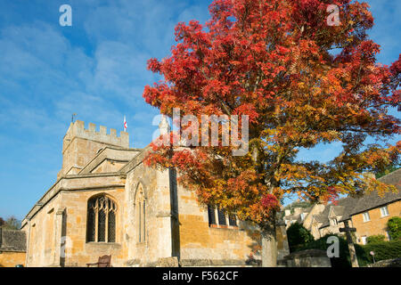 Sorbus. Autumnal Rowan tree in the grounds of St Lawrence Church, Bourton on the hill, Cotswolds, Gloucestershire, England Stock Photo