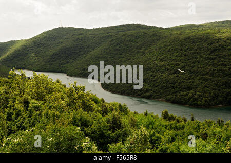 Forest and Lim fjord (Limski kanal), Istria, Croatia Stock Photo