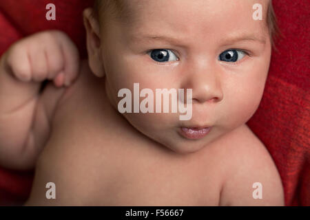 Little newborn baby lying in a suitcase for travel or photography concept. Stock Photo