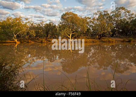 Paroo River with native gum trees and blue sky reflected in calm water at Currawinya National Park, outback Queensland Australia Stock Photo