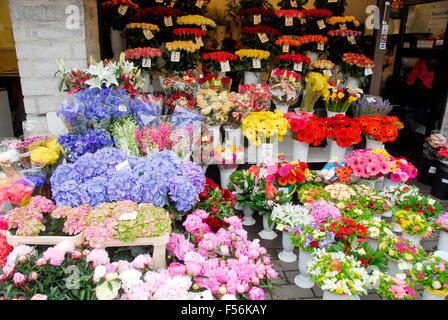 Flower stand in Tallin, Estonia Stock Photo
