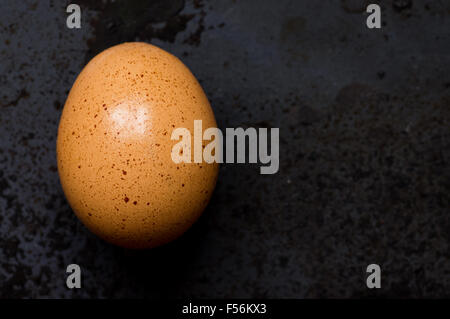 Brown egg on black background closeup.  Simple food concept Stock Photo