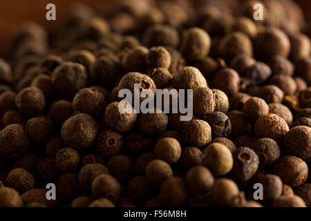 Raw Organic Brown Allspice Ready to Use Stock Photo