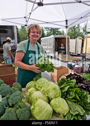 Vendor arranging vegetables at Anchorage Farmer's Market. Stock Photo