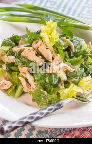 Chinese chicken salad made with shredded chicken and mixed greens with dressing Stock Photo