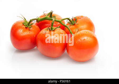 Branch of red tomatoes with drops of water isolated on white background. Bottom clipping path included Stock Photo
