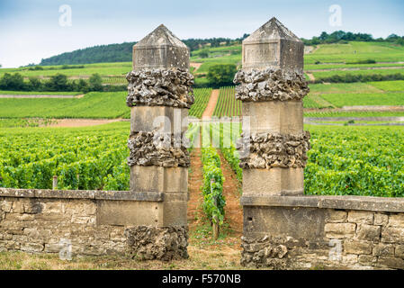 cote de beaune, burgundy, france, EU, Europe Stock Photo