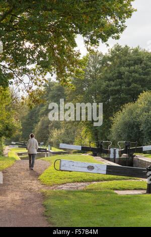 Lady walking on the Worcester & Birmingham Canal in autumn near Bromsgrove, Worcestershire, England, UK Stock Photo