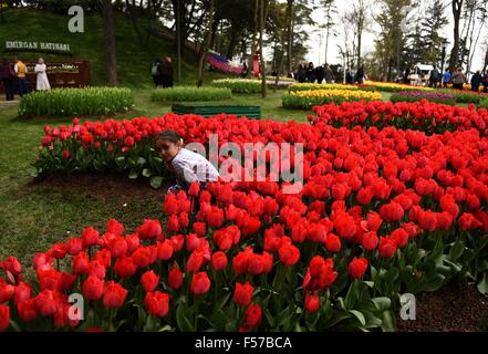 Istanbul, Turkey. 29th October, 2015. Photo taken on April 14, 2015 shows a girl posing for photos near red tulips at Emirgan park in Istanbul, Turkey. Turkey observed Republic Day on Oct. 29. Credit:  Xinhua/Alamy Live News Stock Photo